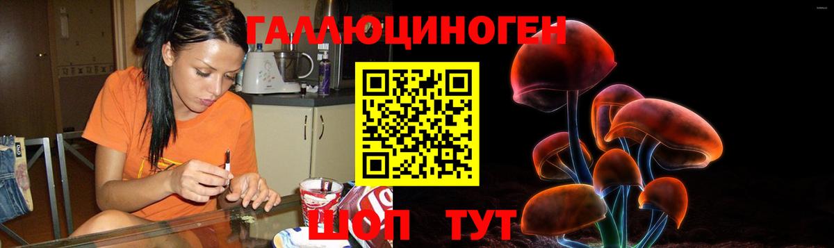 Йошкар-Ола  Псилоцибиновые грибы GOLDEN TEACHER  Вход с VPN 